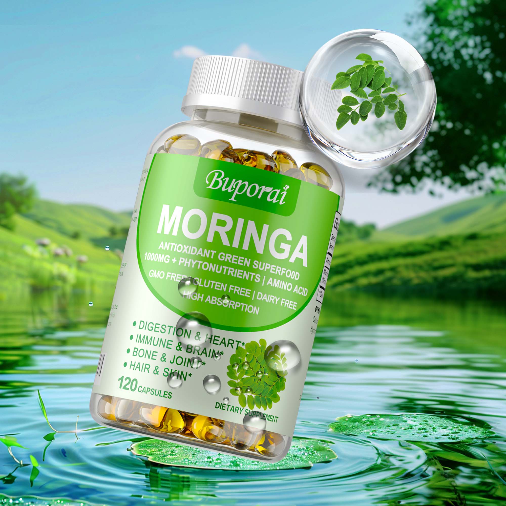 Moringa Leaf Powder - Cápsulas Moringa 1000mg - Apoia a
