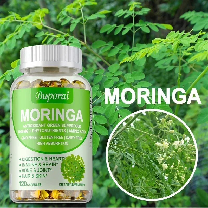 Cápsulas Moringa - Aumenta o m - Moringa Leaf Powder avaliação e preço
